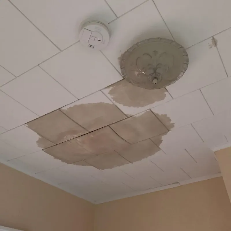 Ceiling Water Damage Repair in Jolivue, VA