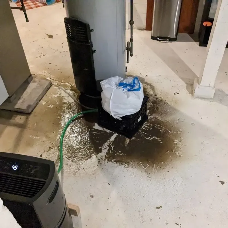 Sewage Backup Cleanup Service in Jolivue, VA